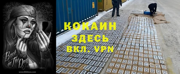 прущий лед Арсеньев