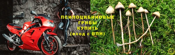 прущий лед Арсеньев