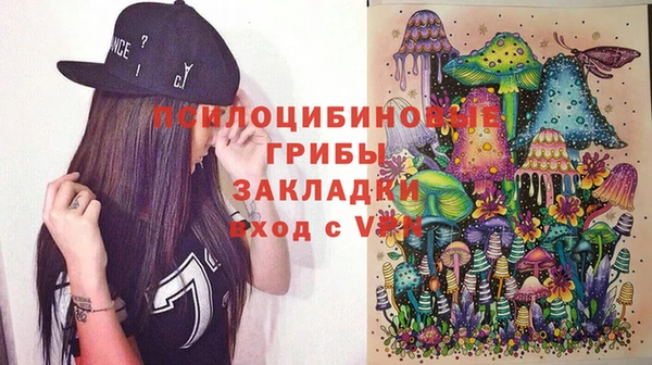 прущий лед Арсеньев