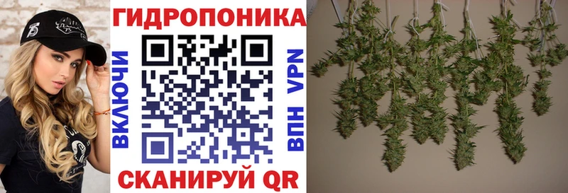 mega как зайти Северо-Курильск Конопля MAZAR